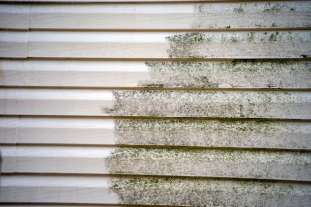 Best Historical Building Siding Restoration  in Hildale, UT