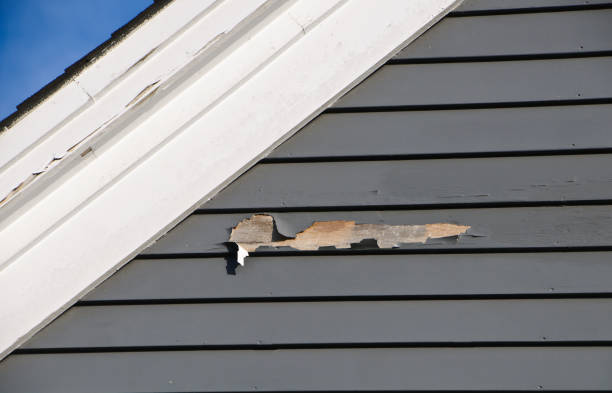 Best Composite Siding  in Hildale, UT