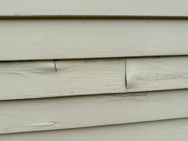 Best Historical Building Siding Restoration  in Hildale, UT